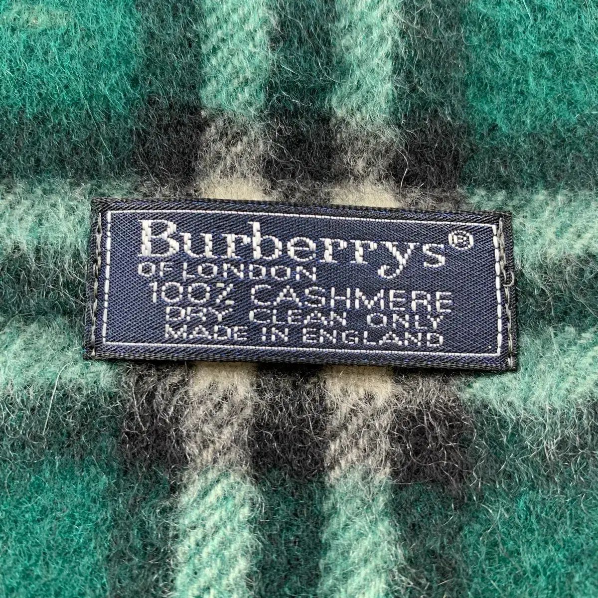 グリーン ノヴァチェック