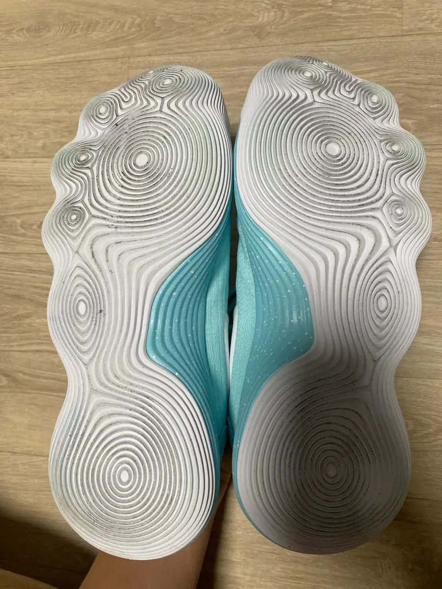  ハイパーダンク2017 ティファニー 260 シューズ(男性用) バスケットボール