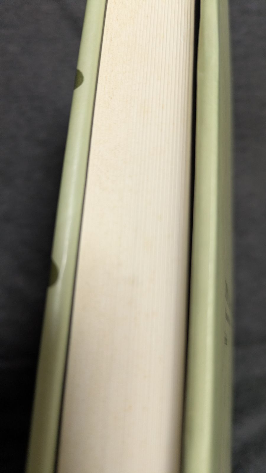 欲動 自我 対象 自己 精神分析理論の臨床的総合 フレッド パイン 川畑直人監訳 創元社