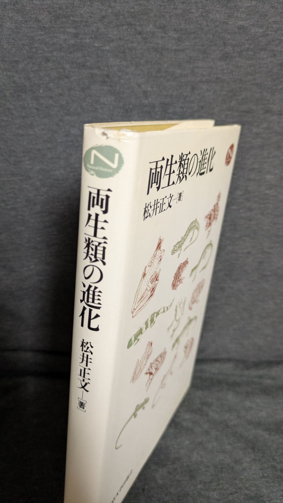 両生類の進化/東京大学出版会/松井正文（単行本） 両生類の進化 (Natural History) (松井正文/東京大学出版会) 【公式通販】