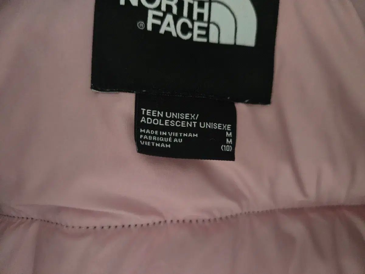 FACE ザノースフェイス