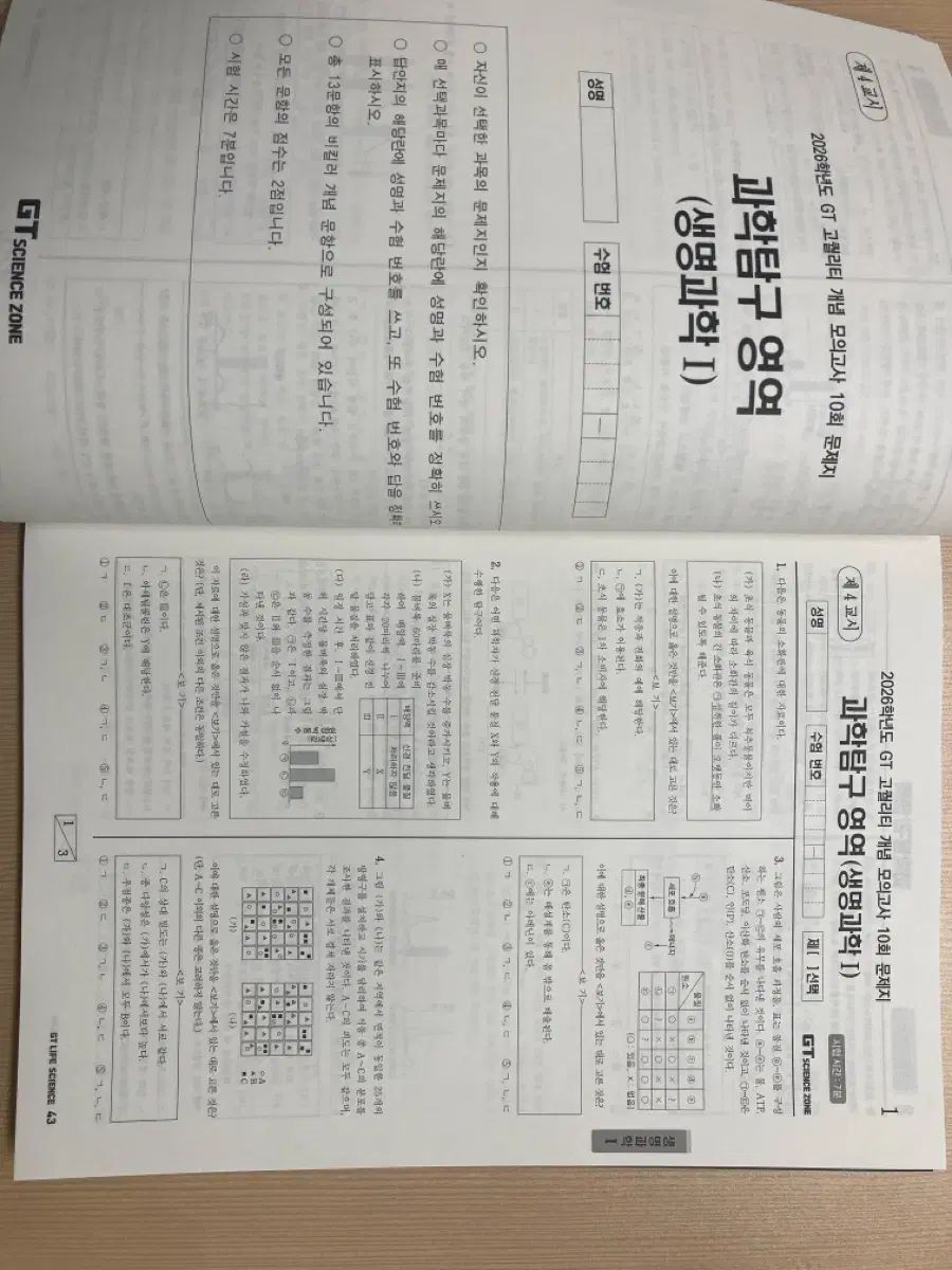 マザートン 倫理と思想 生命 GT