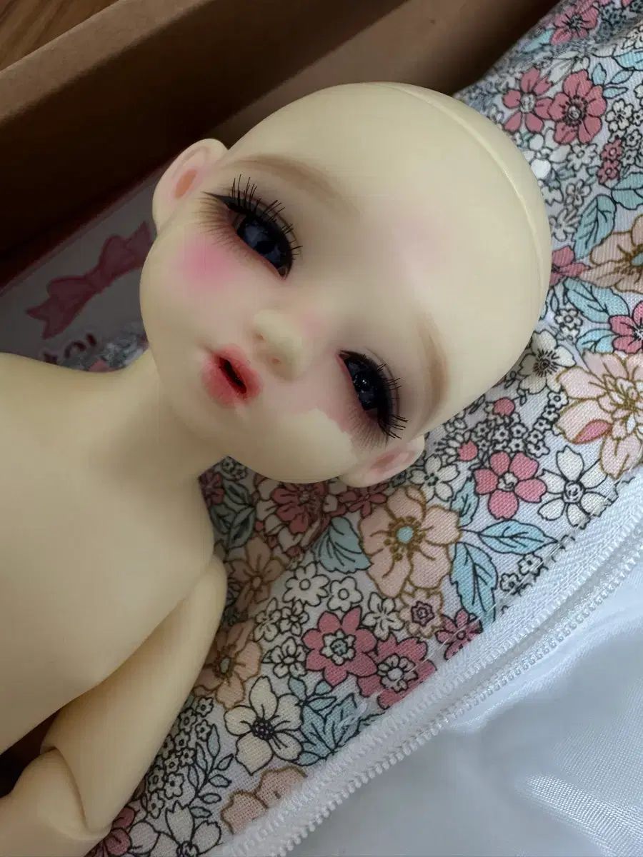 ChicaBi doll ベベ マーガレット 球体関節人形 usd