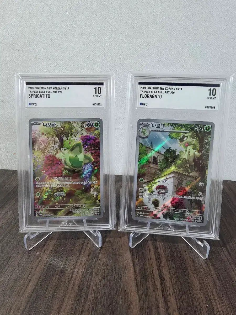 ポケモンカード ナオハ ナツメグ ar brg 10 セット