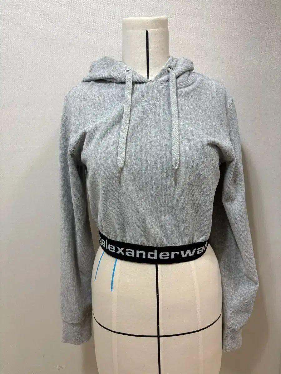 Alexander Wang アレキサンダーワング ツアーベルベット クロップド WHO グレー