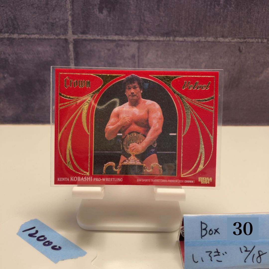 2025 BBM Premium Crown 小橋建太 18 20 全日本プロレス Red Velvet 絨毯 カード