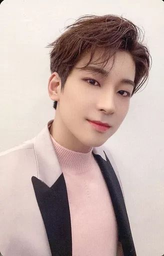 中古】コレクションカード(男性) SEVENTEEN/WONWOO(ウォヌ)/CD「JAPAN