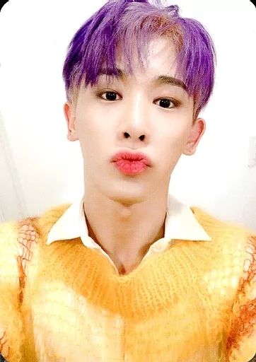 MONSTA X ウォノ トレカ WONHO ウォノ トレカ MONSTAX 10枚セット - メルカリ