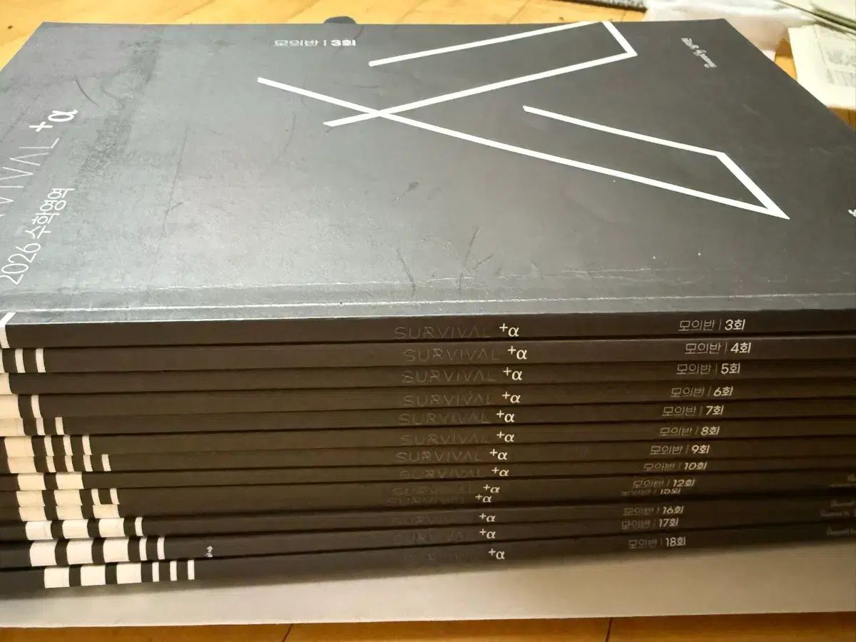 時代人材 南知賢T サバイバル アルファ 分析本 13巻