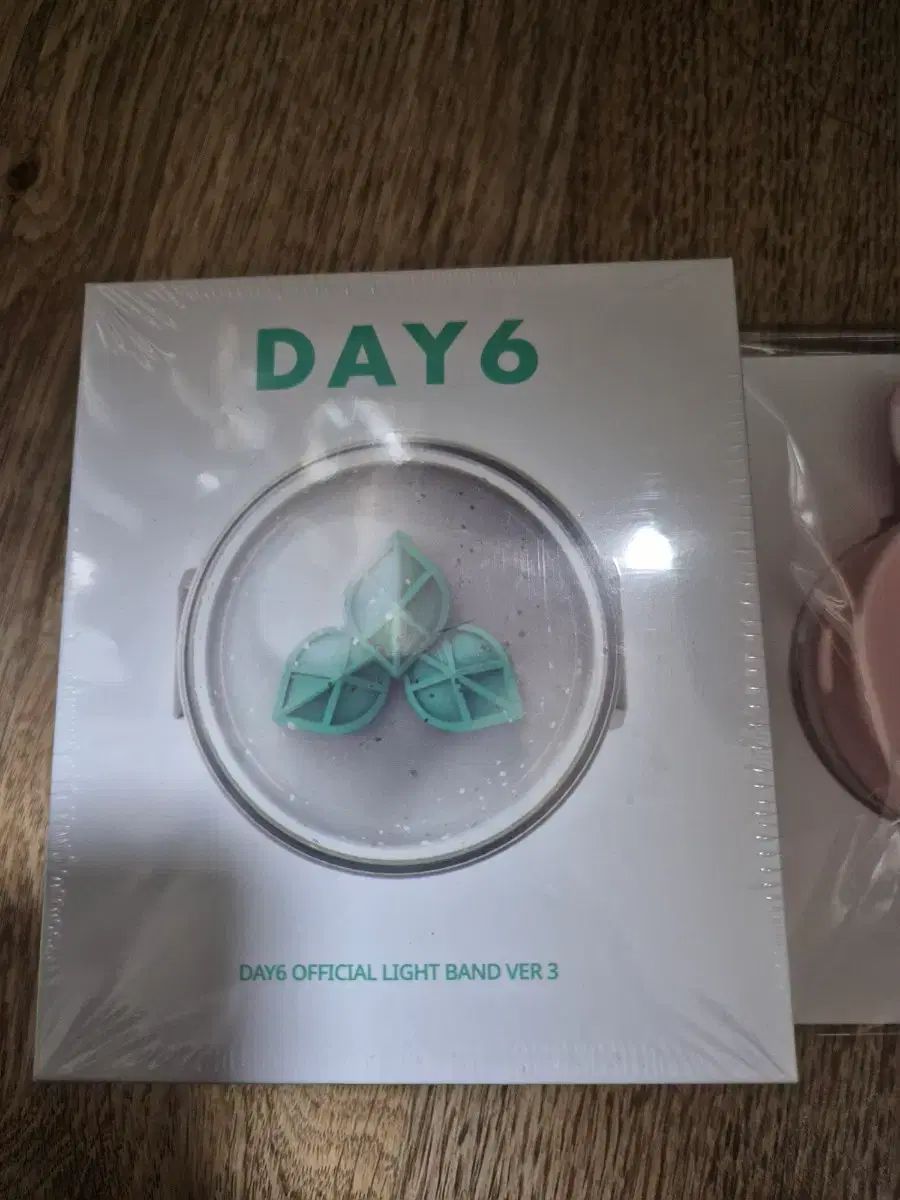 DAY 6 LIGHT BAND ペンライト リング COVER