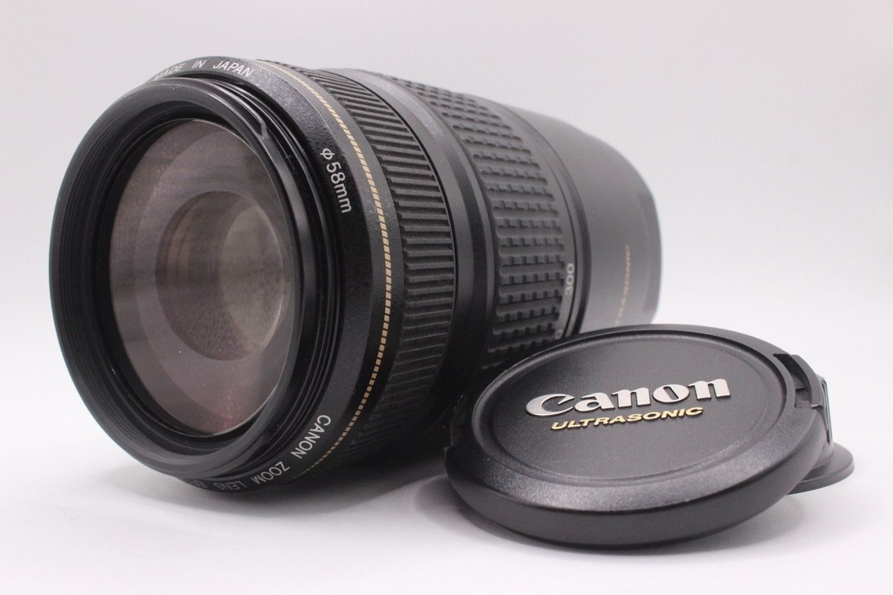 キャノン CANON EF 75-300 m F 4-5.6 IS USM 9951 b RO 3519