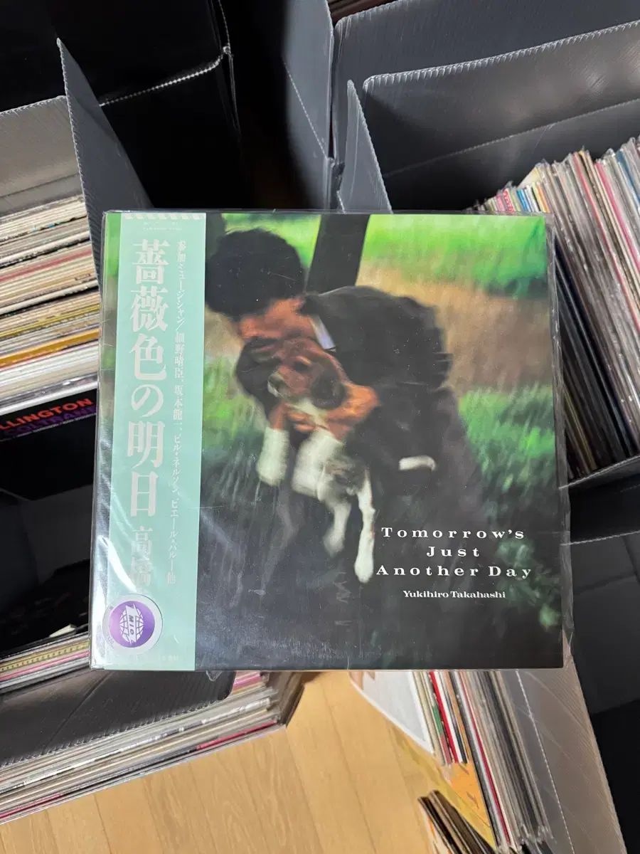 日本 シンセポップ Yukihiro Takahashi 高橋 恭平 ユキヒロ LP