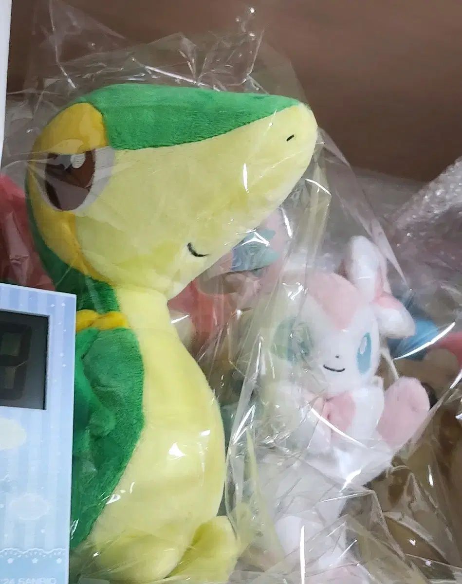 通販 Pokémon ジュカイン ぬいぐるみ ぬいぐるみ マスコット