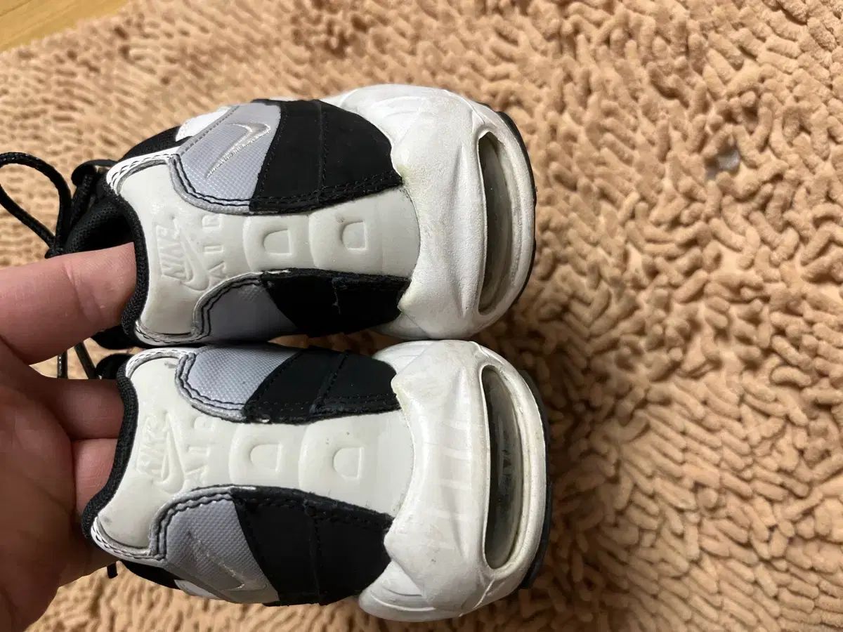 ウルフグレー 270