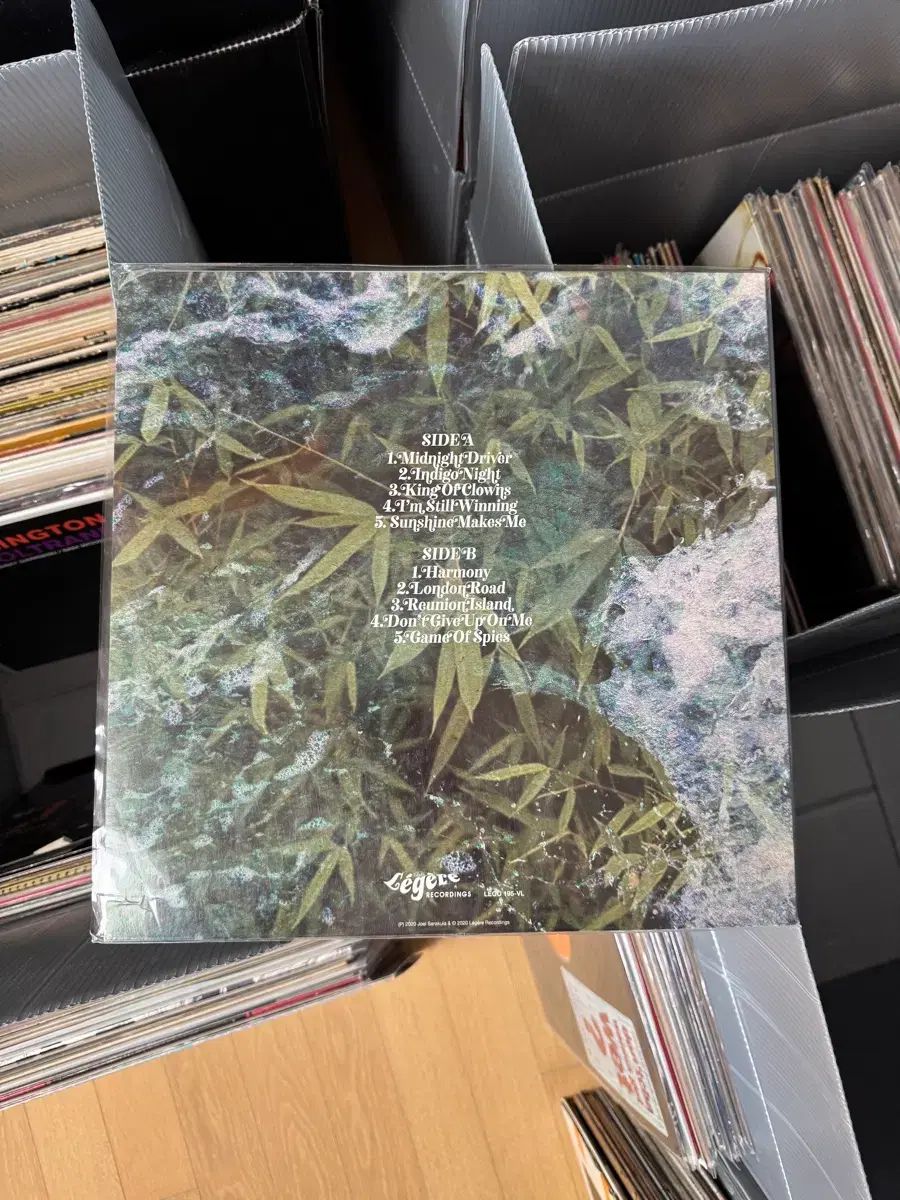 ソフト ROCK ジャズ パンク クラス Joel Sarakula LP