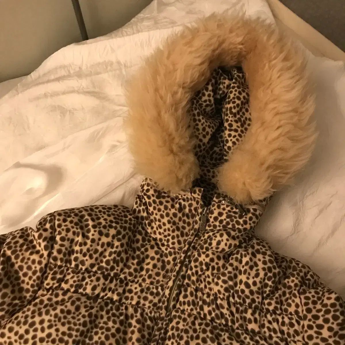 Moschino モスキーノ