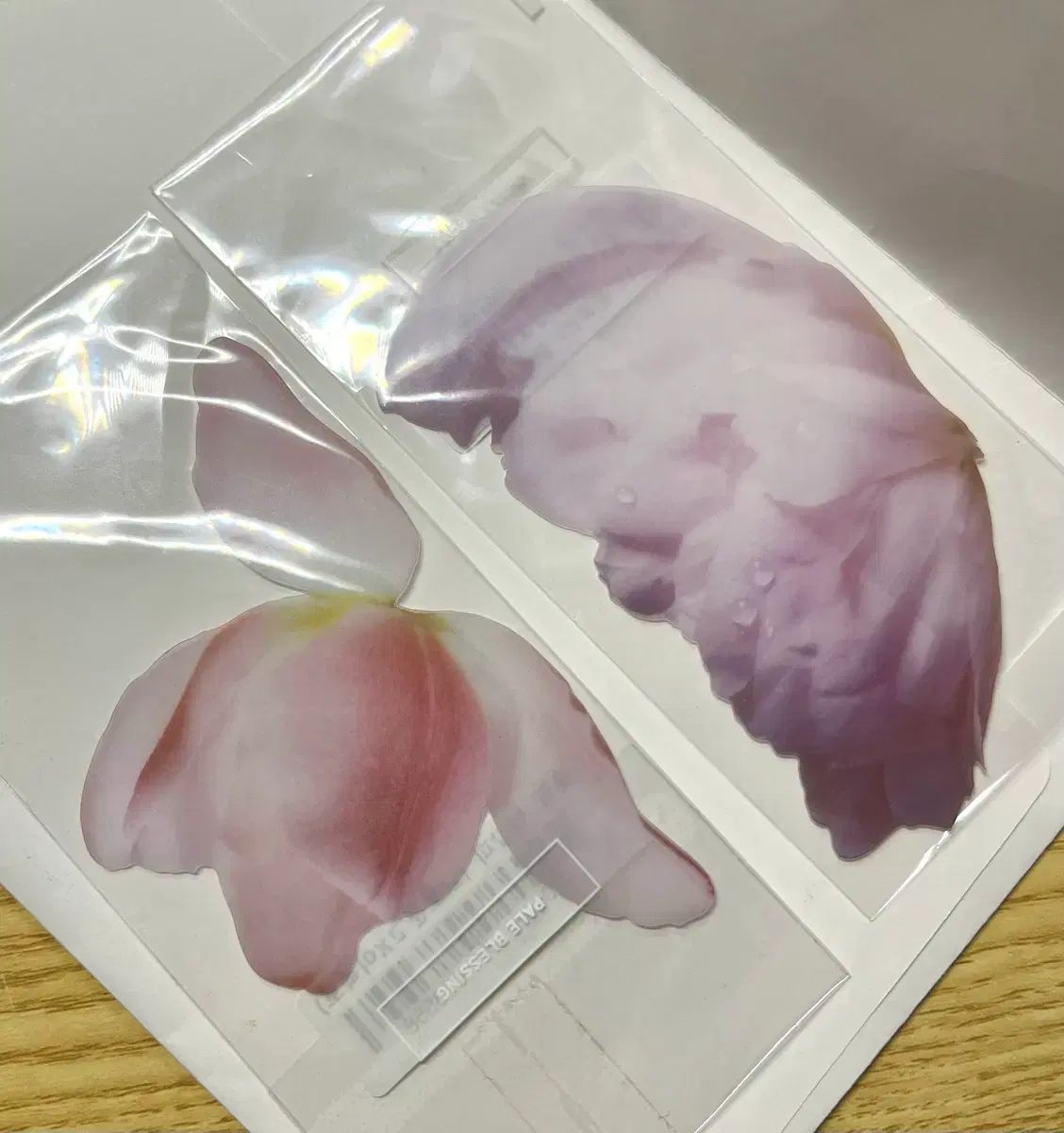 イオクト チューリップ しおり モデル 教保文庫 コラボ