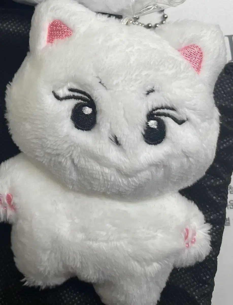 ENHYPEN エンハイプン エナプ ジョンウォン JUNGWON ぬいぐるみ