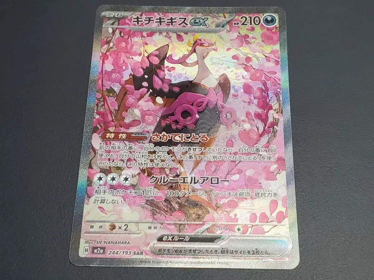 ポケットモンスター カード ギロチン ex SAR メガドリーム 一般版