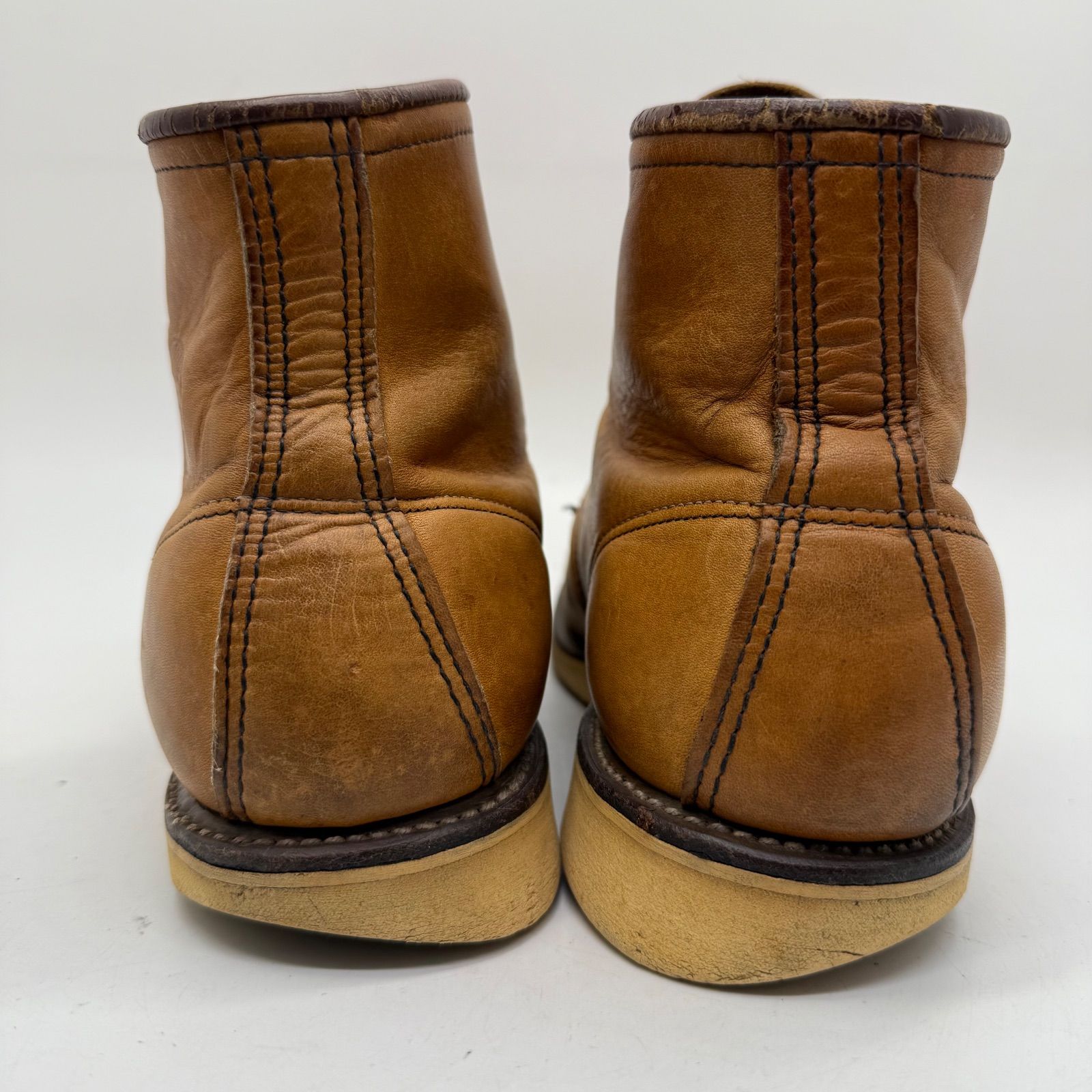 アイリッシュセッター