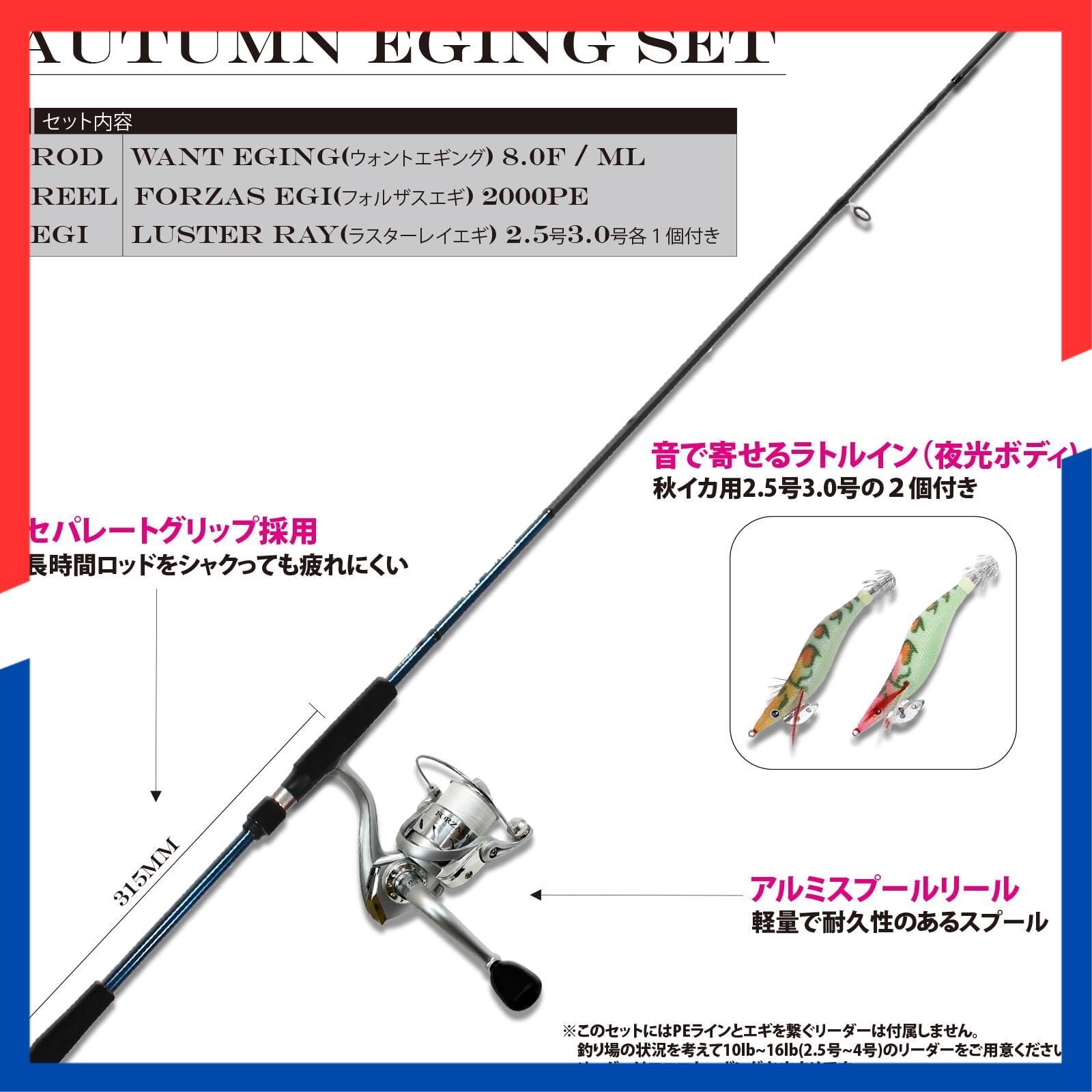 在庫処分】AUTUMN 入門者セット エギ2個セット EGING PE付リール SET