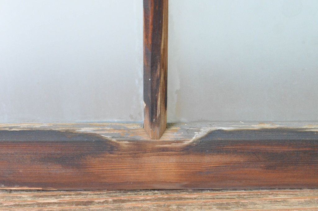 4～7営業日前後で発送