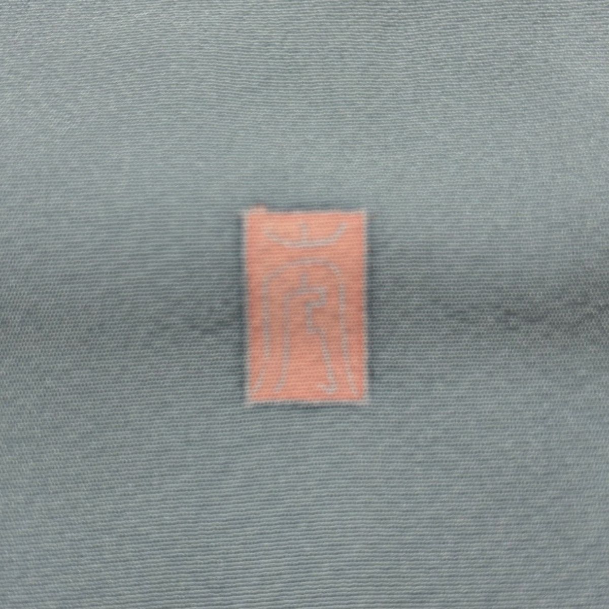  訪問着 身丈177 cm 裄丈69.5 未仕立て 仮絵羽 落款 枝花 ぼかし 染め分け 水色 正絹 秀品 訪問着 付け下げ 着物