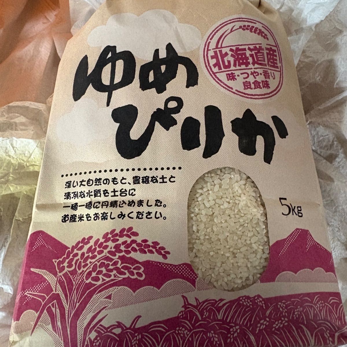 美品 撮影再生ダビングOK SONY DCR-TRV33 付属品あり 液晶綺麗 高品質