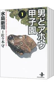 男どアホウ甲子園 【文庫版】 u003c全18巻セットu003e／水島新司