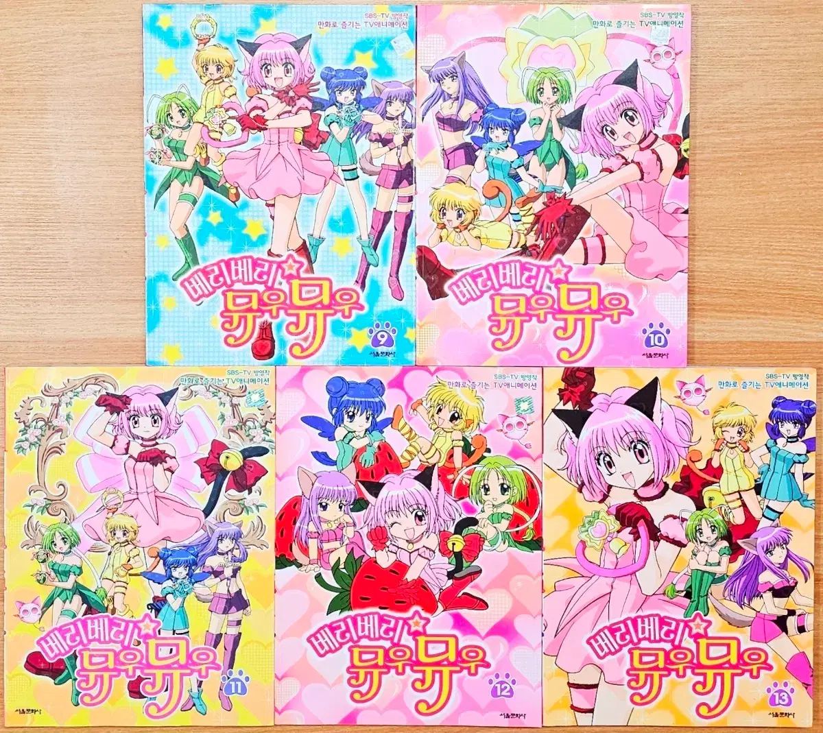 VERIVERY ベリベリ ミュウミュウ TV アニメ フィルムBOOK 吉田 レイコ ゴーレン