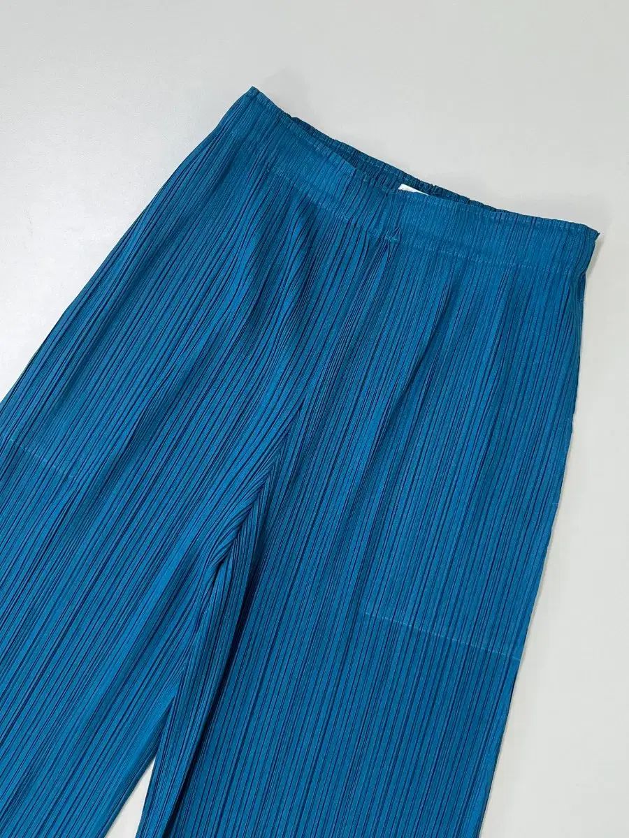 プリーツプリーズ 裾 ポイント 밴ディング ワイド パンツ