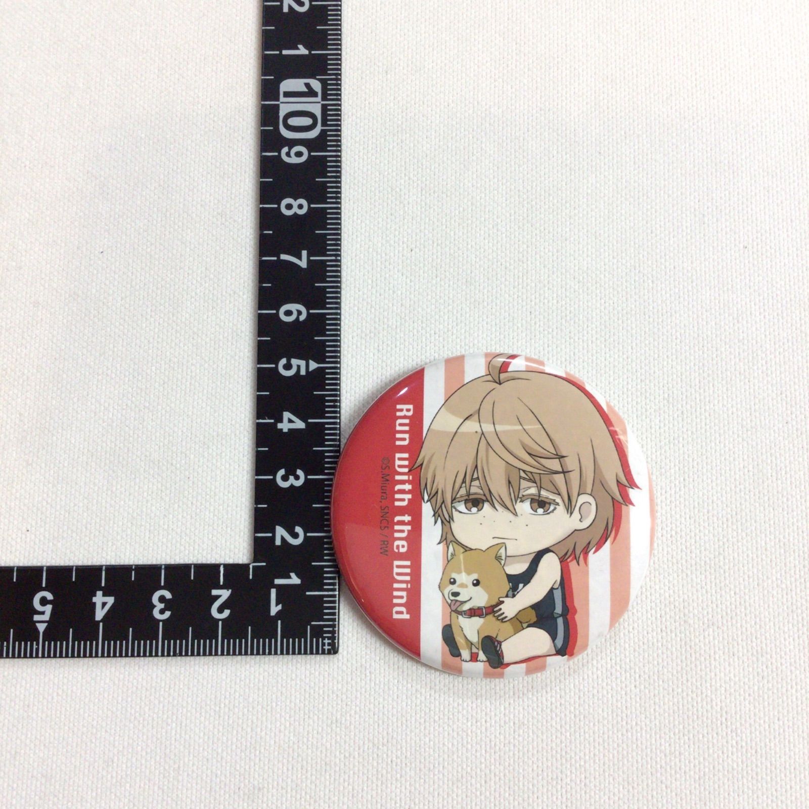 風が強く吹いている　くるまり缶バッチ アイアップ公式通販】TVアニメ『WIND BREAKER』 ぷちふれ