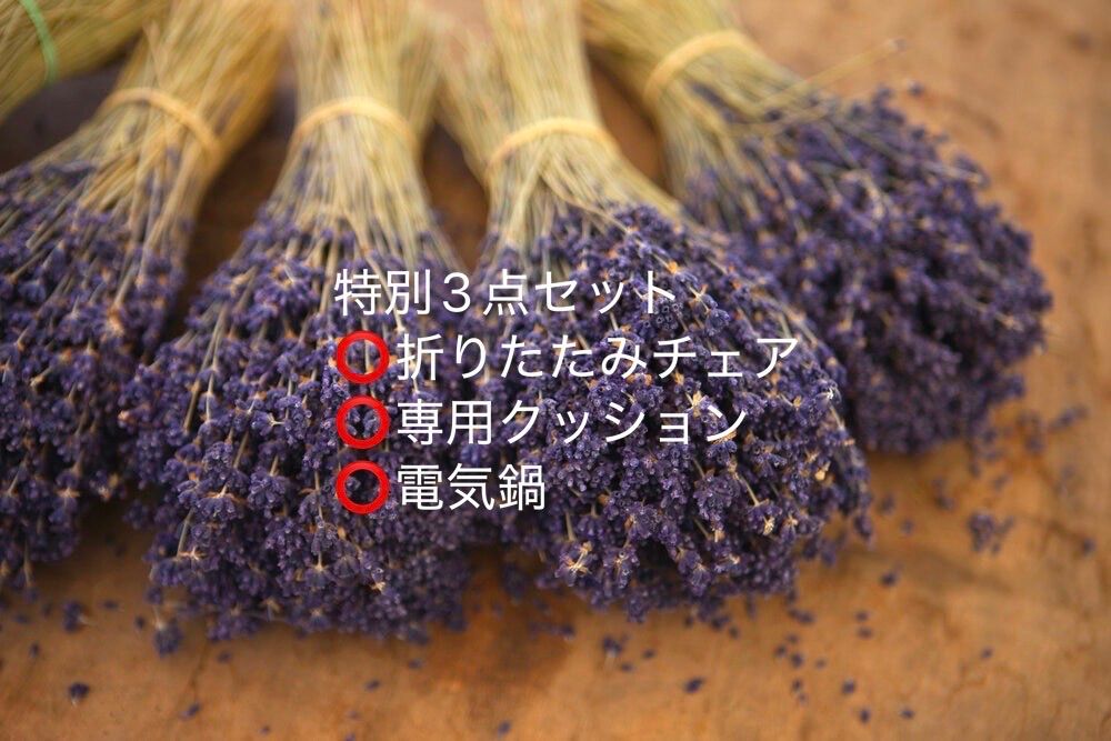 特別3点セット よもぎ蒸し温活シンプルセット