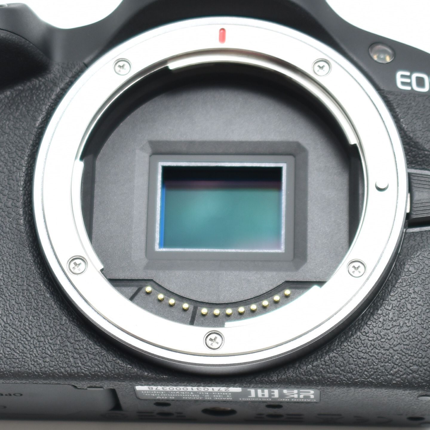  B 10688 Canon ミラーレス一眼カメラ EOS R 100 標準ズームレンズキット RF S 18 45 ブラック APS C 約356 g EOSR ミラーレス一眼 デジタルカメラ