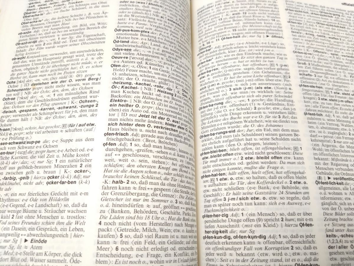 【洋書／独語】【語学】 Grossworterbuch Deutsch als Fremdsprache Dieter Goetz（ディーター・ゲッツ） Langenscheidt ELT GmBH Deutsch Großwörterbuch als deutschen Sprache Institut&frasl;辞書&frasl;語学&frasl;独語&frasl;勉強&frasl;学習&frasl;B