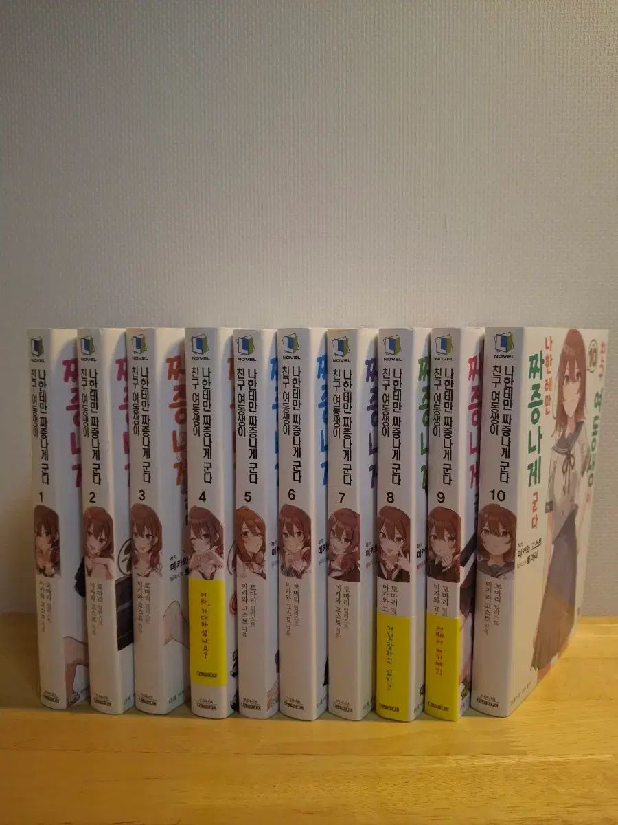 友達 姉妹が私にだけイライラさせる 小説 1 10 セット