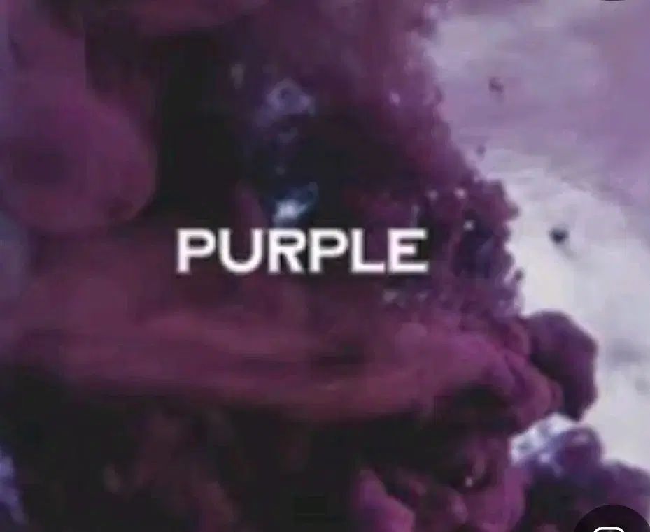 触れた PURPLE ヴァイナル ビニールレコード CD 5 インサー仲間