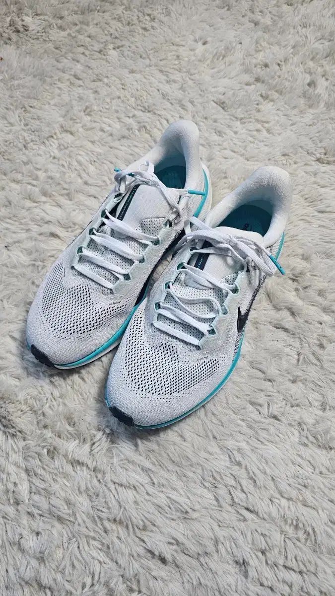 ナイキ ペガサス 41 ロード ランニングシューズ 260