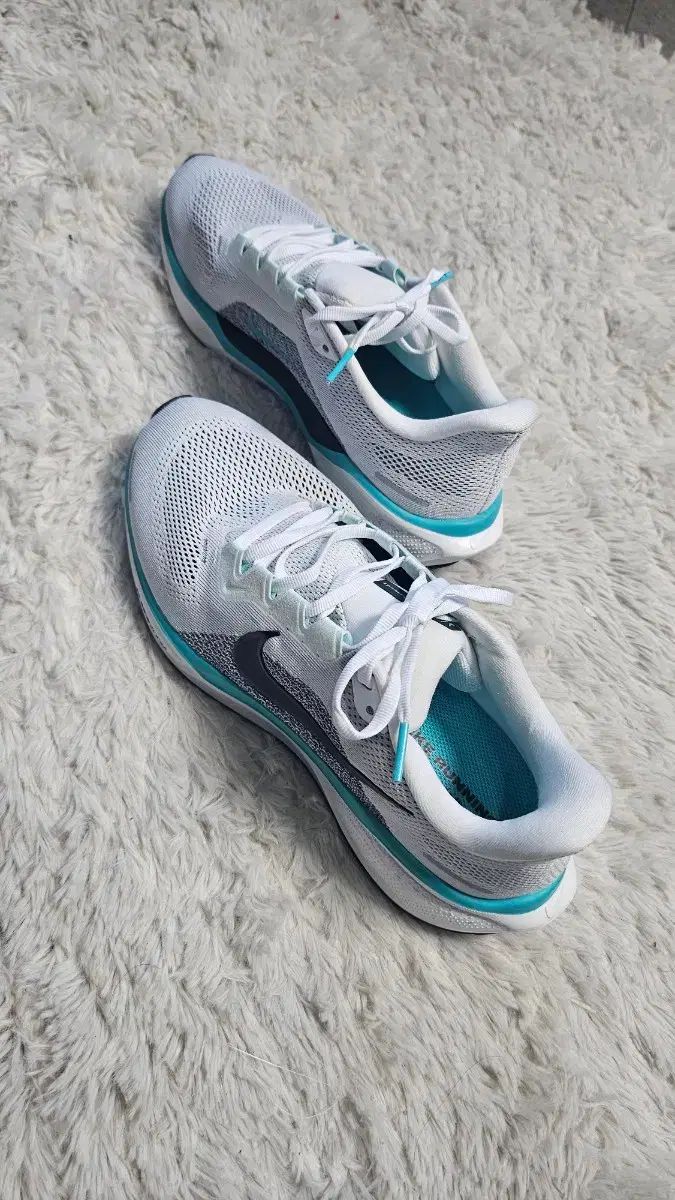 ナイキ ペガサス 41 ロード ランニングシューズ 260