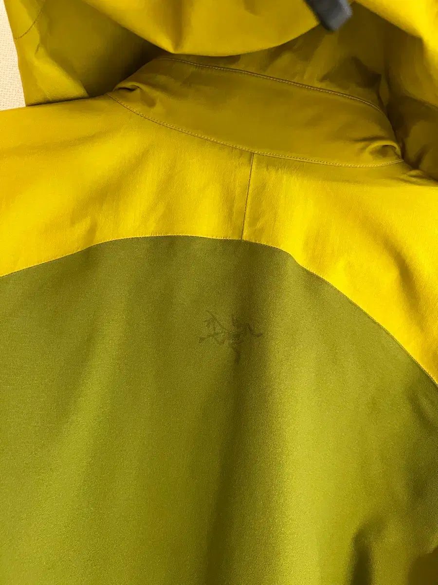 ARC TERYX アークテリクス サイドワインダー SV DARK CITRUS 2006 ヴィンテージ ペグ その他 