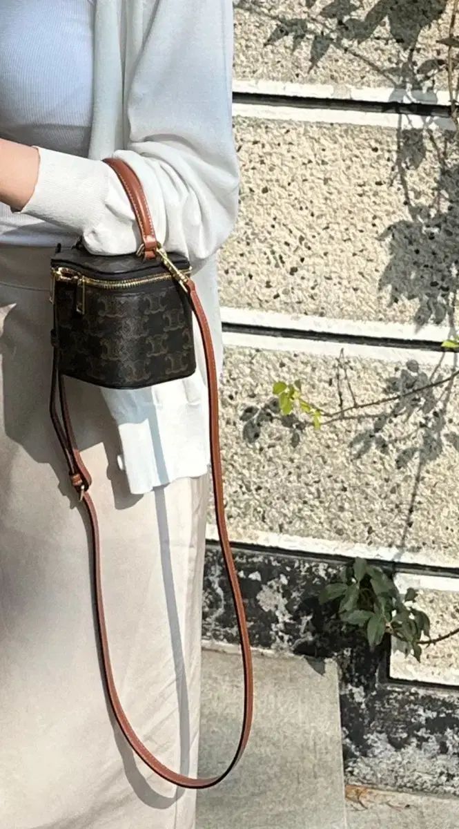 ケース ベニティバッグ