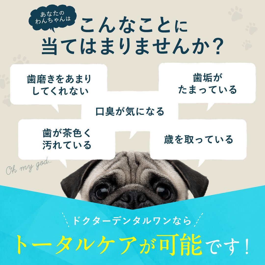 犬用 注文 歯磨き ジェル【メーカー公式】ドクターデンタルワン /口臭