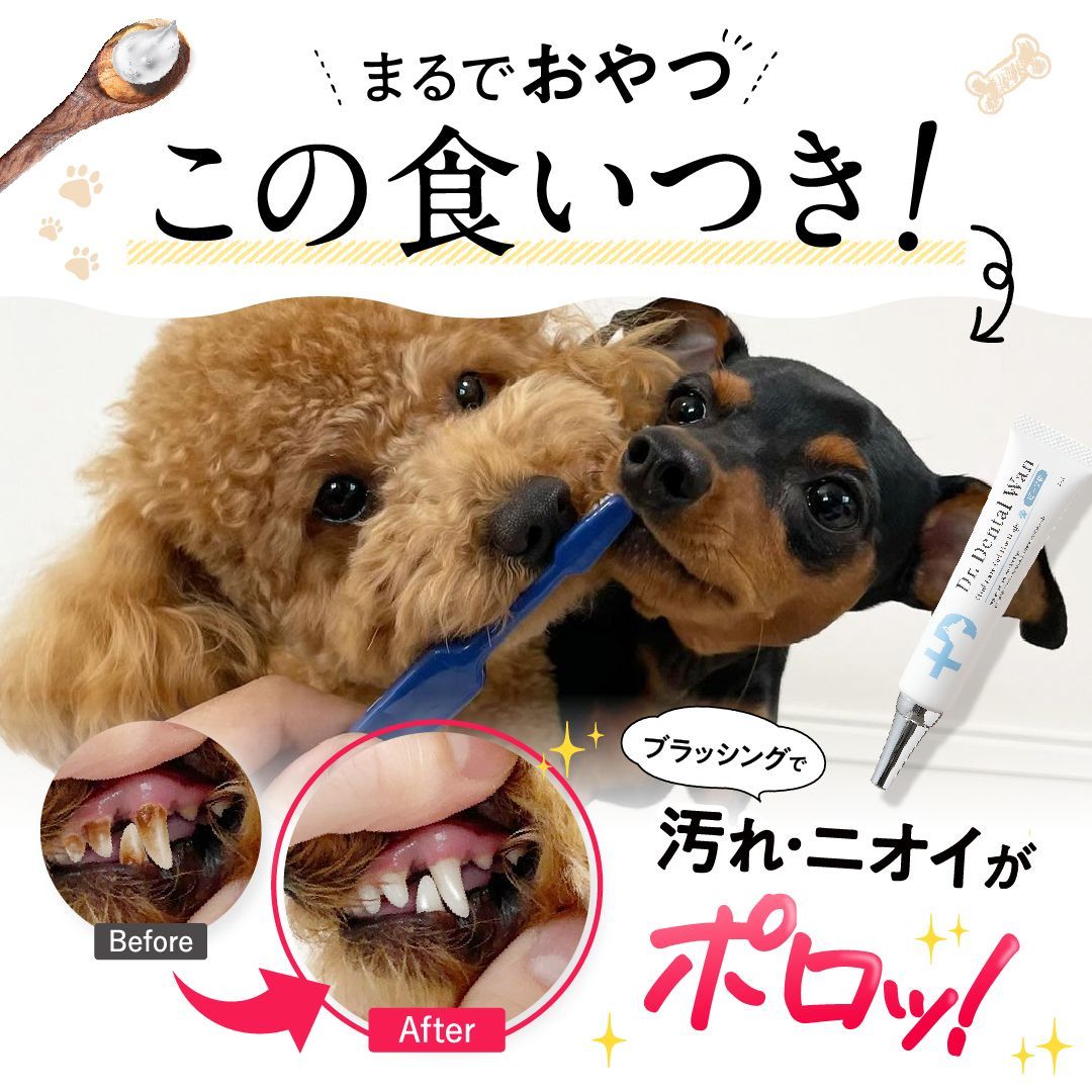 犬用 歯磨き ジェル メーカー ドクターデンタルワン 口臭 歯石 歯垢 口腔 デンタルケア Dr Dental Wan 製造 30 g 2 ビーフ味