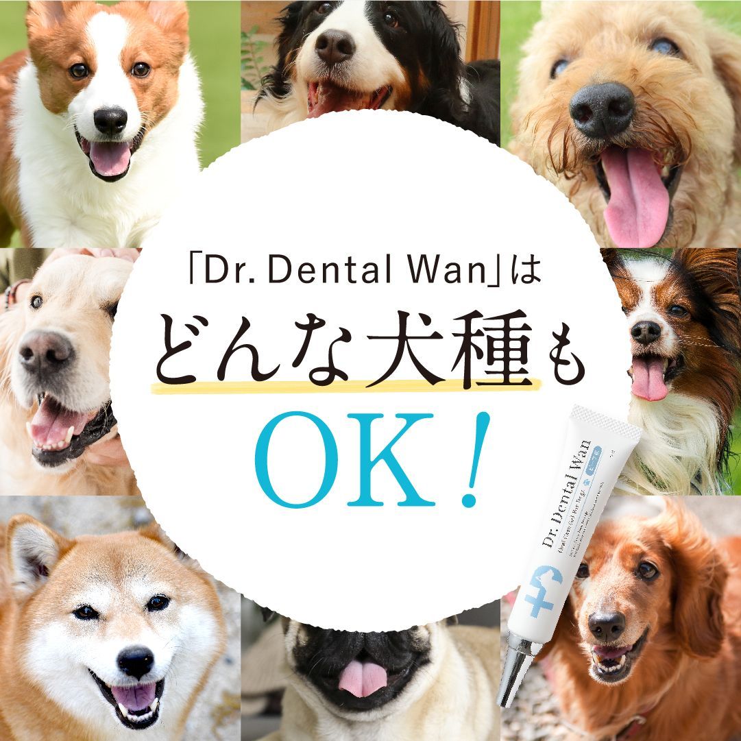 ドクターデンタルワン 犬用歯磨きジェル Dr. Dental Wan 犬用歯磨き