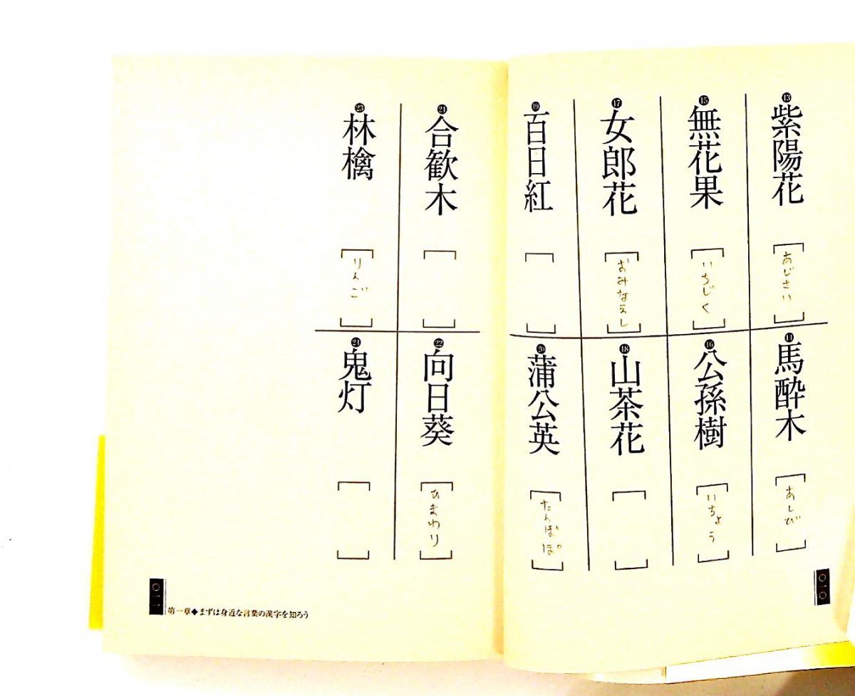 10歳若返る漢字練習帳 (ぶんか社文庫) 日本漢字文化研究所 - メルカリ