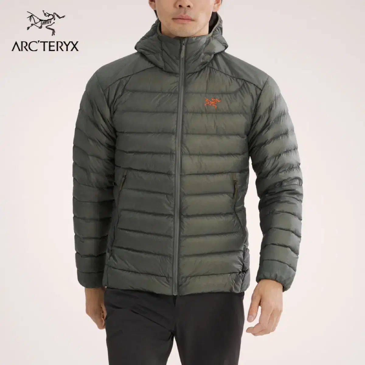 L アークテリクス セリウム ポリッジ