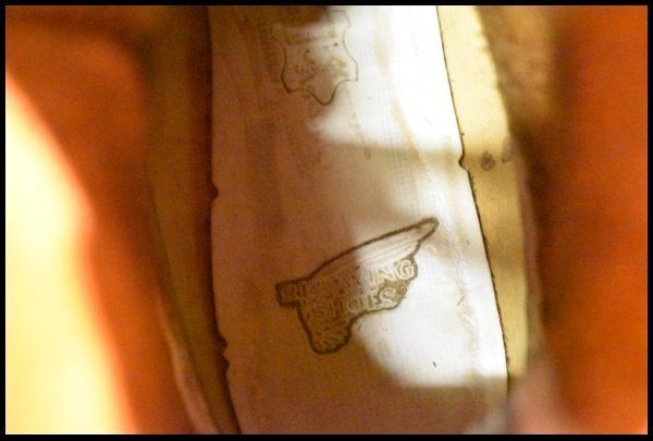 23年 レッドウィング