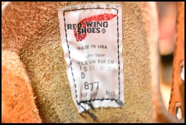 ロング アイリッシュセッター