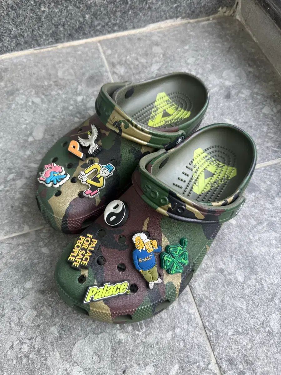 パレス クロックス (250)