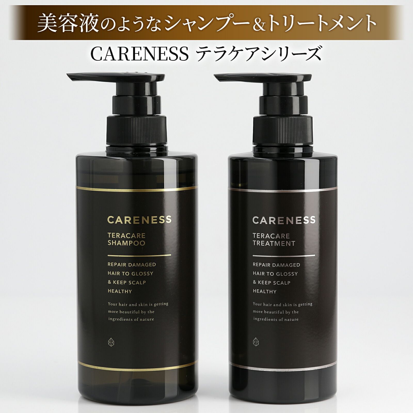 セット販売 ケアネス テラケア シャンプー 1000 ml トリートメント II g レフィル 詰め替え 美容室専売 サロン専売 CARENESS